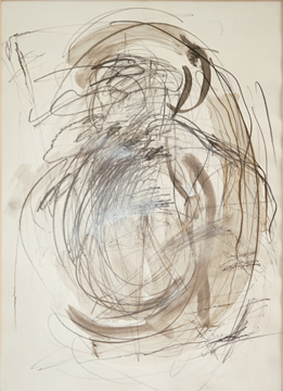 Zeichnung o.T. 1996, 0,43 x 0,30 m / Grafit und Tusche auf Papier